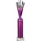Rodeo Multisport Tube Trophy Silver & Purple