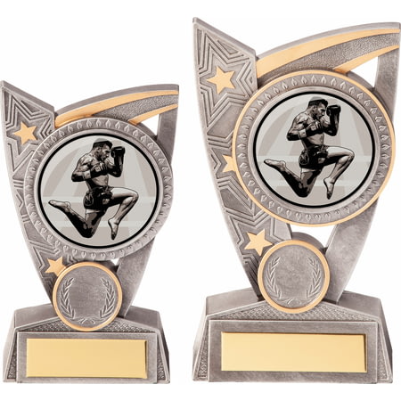 Triumph Kickboxing Award