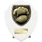 Cobra Shield Rugby Shirt & Ball Award Arctic