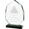 Clarity Optical Crystal Award