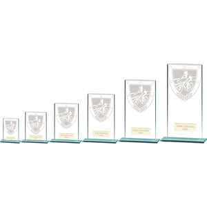 Millennium Cycling Glass Award