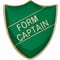 Scholar Pin Badge Form Captain