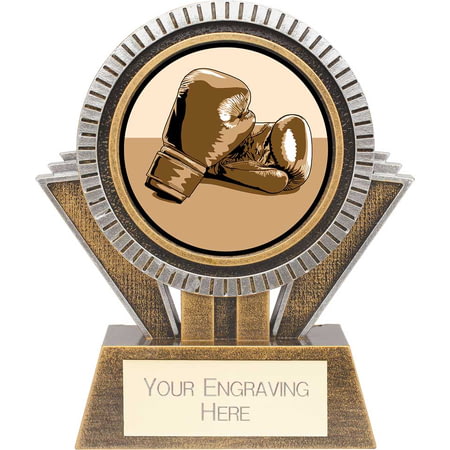 Apex Boxing Award Gold & Silver