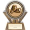 Apex Boxing Award Gold & Silver