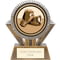 Apex Boxing Award Gold & Silver