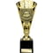 Cobra Star Cup Player of Match