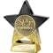 Superstar Star Performer Award Black & Gold