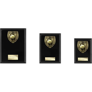 Cobra Plaque Cricket Award Epic