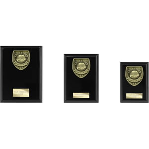 Cobra Plaque Thank you Coach Award Epic