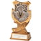Titan Athletics Award