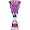 Cobra Star Multisport Tube Trophy Silver & Purple