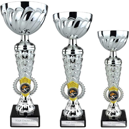 Energy Trophy Silver & Gold 295mm