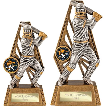 Immense Cricket Batsman Award Antique Gold & Silver 190mm