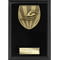 Cobra Plaque Swimming Award Epic