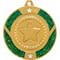 Glitter Star Medal Silver & Green