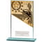 Mustang Fishing Glass Award