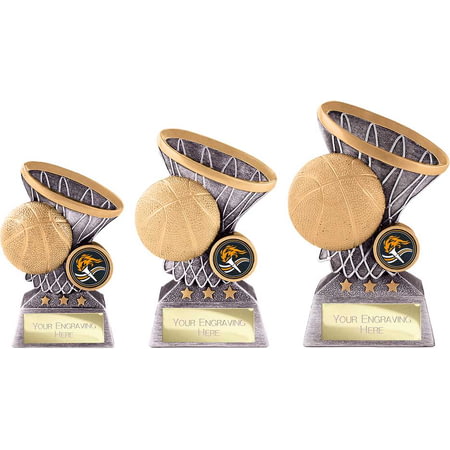 Smash Basketball Award Antique Silver & Gold 160mm