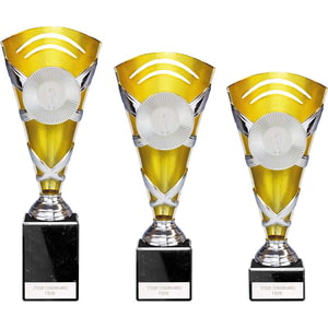 X Factors Multisport Cup Silver & Gold