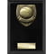 Cobra Plaque Basketball Award Epic