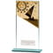 Mustang Sailing Glass Award