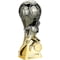 Trailblazer Football Heavyweight Male Gunmetal to Gold
