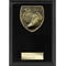 Cobra Plaque Running Award Epic