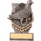 Falcon Pigeon Award