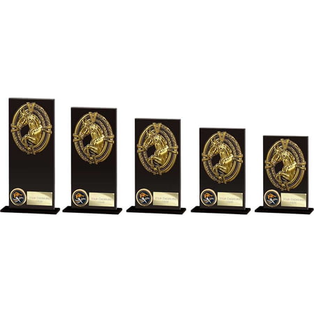 Maverick Hero Equestrian Glass Award Jet