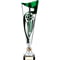 Champions Football Cup Silver & Green
