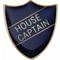 Scholar Pin Badge House Captain