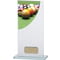 Colour Curve Pool Glass Award