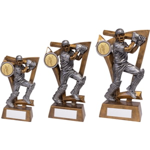 Predator Cricket Batsman Award