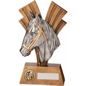 Xplode Equestrian Award 180mm
