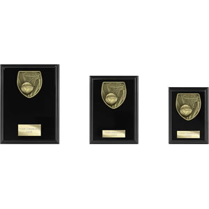 Cobra Plaque Netball Award Epic