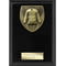 Cobra Plaque Martial Arts Gee Award Epic