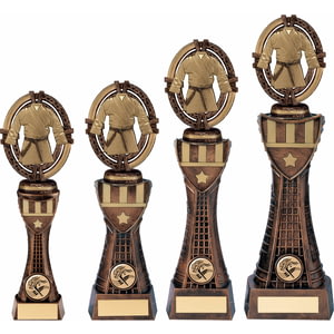 Maverick Martial Arts Heavyweight Award