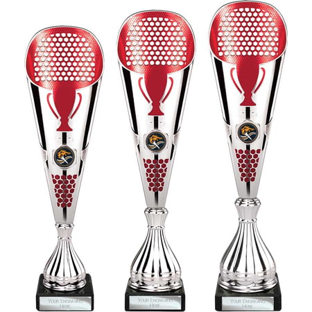 Eclectic Trophy Silver & Red