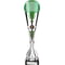 Eclectic Trophy Silver & Green