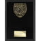 Cobra Plaque Music Award Epic