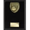 Cobra Plaque Netball Award Epic
