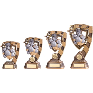 Euphoria Boxing Award