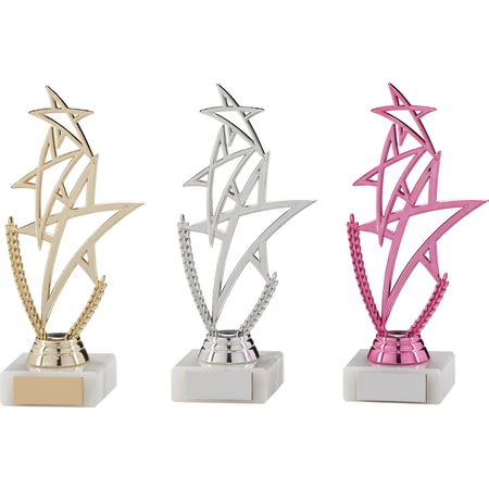 Rising Star Multi-Sport Trophy