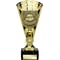 Cobra Star Cup Player of Match