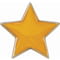 Scholar Pin Badge Star