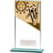 Mustang Cricket Glass Award