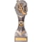 Falcon GAA Camogie Award