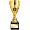 Rising Stars Premium Plastic Trophy