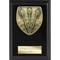 Cobra Plaque Darts Award Epic