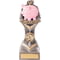 Falcon Fundraising Award