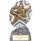 The Stars Ice Hockey Plaque Award Silver & Gold